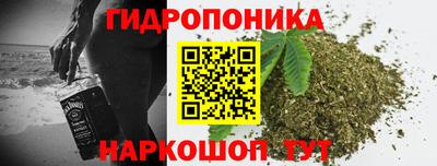 гидра Обь