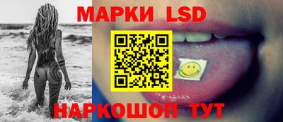 spice Обнинск